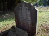 image of grave number 938281